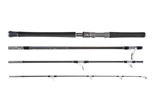 [HY SW P 854 HH] CANNE Skywalker Popping 2,55M 100-200G