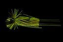 Tigris Jig 3,5G 03-Green Pumpkin